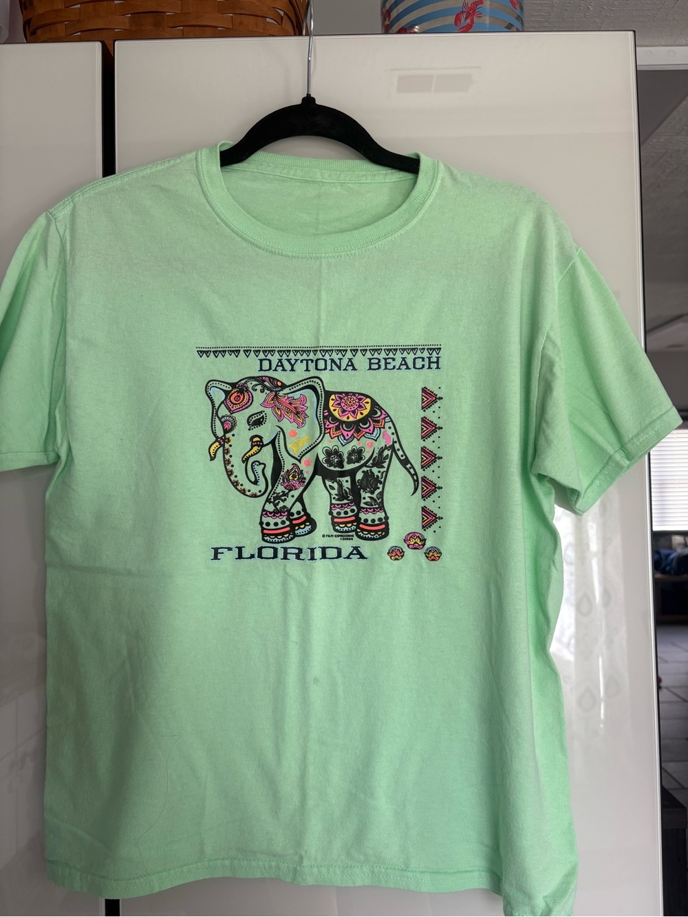 Mint Green Short Sleeve Tee with Decorative Elephant Graphic